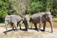 Elephant Dream Valley 7 1