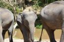 Elephant Dream Valley 7 E1575008332572
