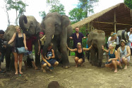 Elephant Family Sanctuary 1