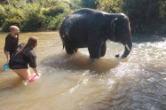 Elephant Family Sanctuary 2