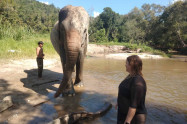 Elephant Family Sanctuary 3