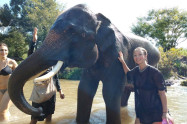 Elephant Family Sanctuary 6
