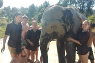 Elephant Family Sanctuary 7