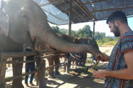 Elephant Family Sanctuary 8