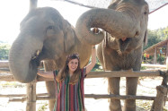 Elephant Family Sanctuary 9