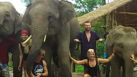 Elephant Family Sanctuary