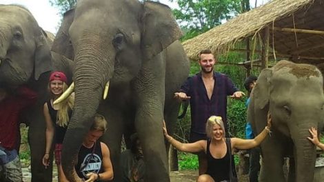 Elephant Family Sanctuary E1575119079991