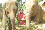 Elephant Green Park 11