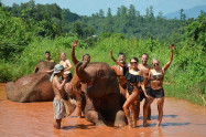 Elephant Jungle Paradise Park 9