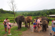Elephant Rescue National Park 3 Scaled