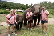 Elephant Rescue National Park 4