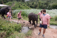 Elephant Rescue National Park 8
