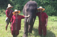 Elephant Rescue Park 8