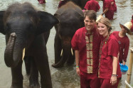 Elephant Rescue Park 9