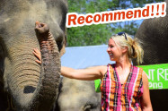 Elephant Retirement Park 1 1