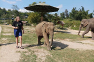 Elephant Retirement Park 1