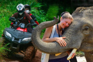 Elephant Retirement Park 2