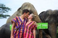 Elephant Retirement Park 3