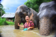 Elephant Retirement Park 4