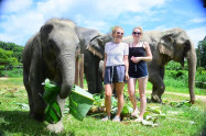 Elephant Retirement Park 5