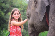 Elephant Retirement Park 6