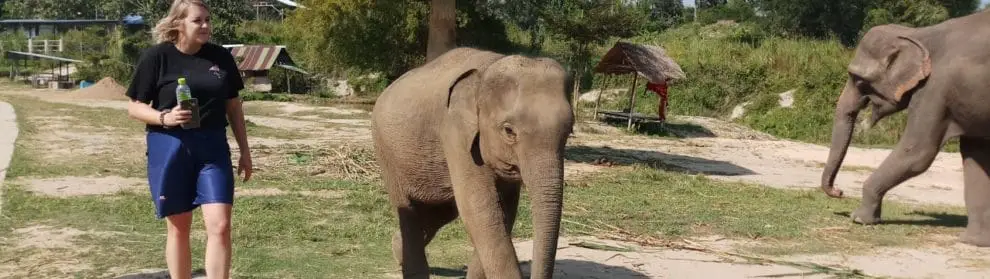 Elephant Retirement Park