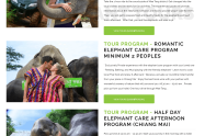 Elephant Tours 1