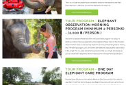 Elephant Tours 3
