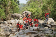 Into The Wild Elephant Camp 4