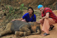 Karen Tribe Native Elephants 8