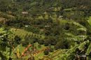 Mae Sa Valley 2 E1574779258121