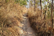 Monks Trail 01
