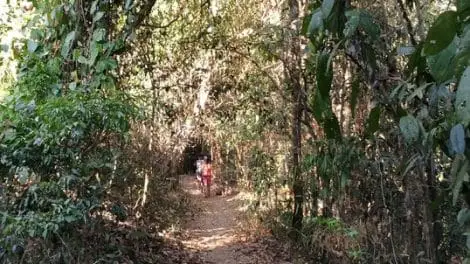 Monks Trail