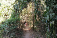 Monks Trail 02