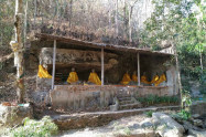 Monks Trail 04