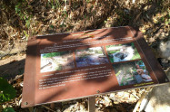 Monks Trail 08