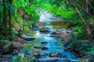 Mork Fa Waterfall 9 Scaled
