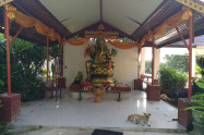 Navel City Pillar Of Chiang Rai 13