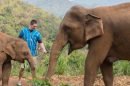 Patara Elephant Farm 1 E1574777101114