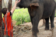 Patara Elephant Farm 11