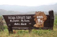 Patara Elephant Farm 2