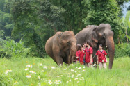 Ran Tong Save Rescue Elephant Centre 10 1 Scaled