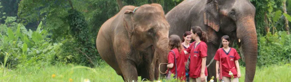 Ran-tong Save & Rescue Elephant Centre