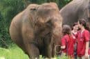 Ran Tong Save Rescue Elephant Centre 10 Scaled E1575017348170