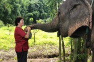 Ran Tong Save Rescue Elephant Centre 3