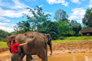 Ran Tong Save Rescue Elephant Centre 4