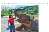Ran Tong Elephant 2 Day 1 Night Program Stay Overnight At Our Centre