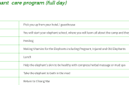 Ran Tong Elephant Care Program Full Day