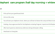 Rantong Elephant Care Program Half Day Morning Whitewater Rafting