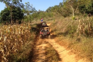 Tad Kwan Village 7